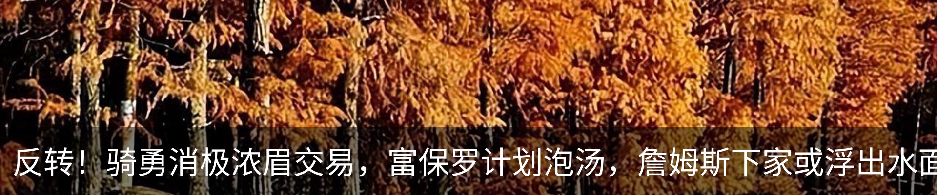 行业资讯