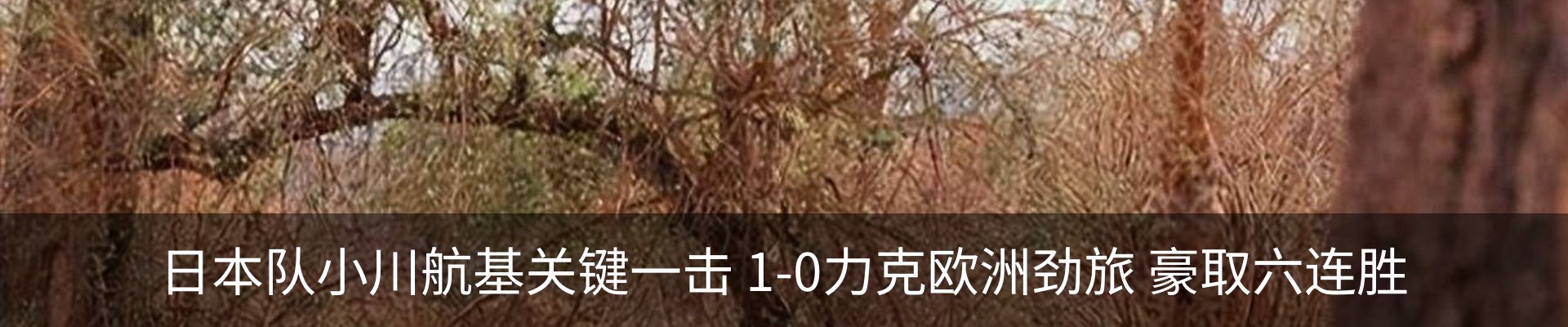 行业资讯