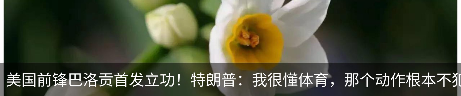 行业资讯