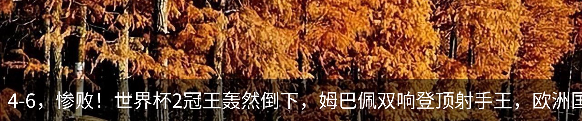 行业资讯