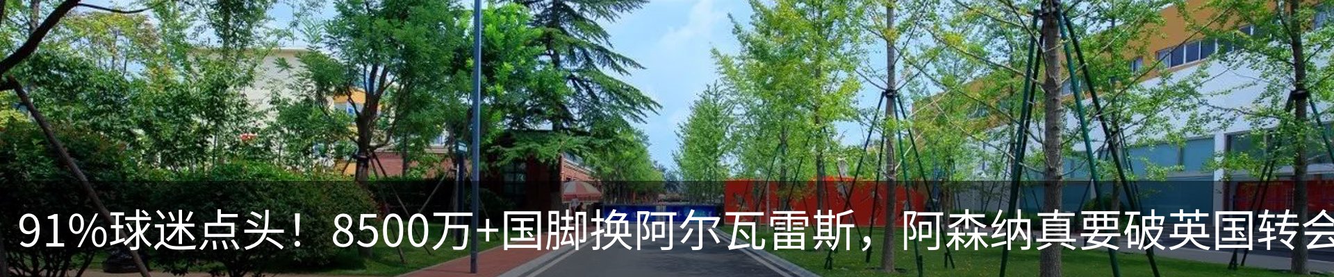 行业资讯